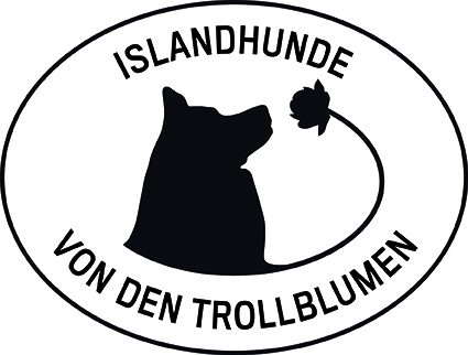 Islandhunde – Nordisch genial